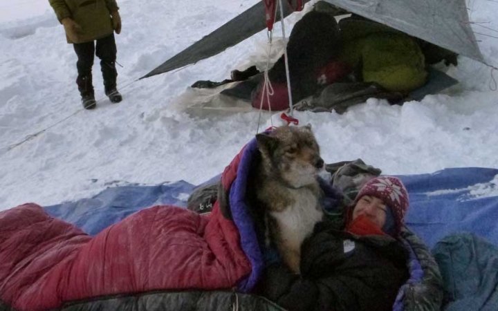 winter camping with sled dogs